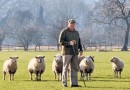 Фермеры из Британии отдают предпочтение альтернативной энергетике