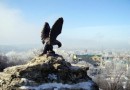 В Ставропольском крае собираются построить крупнейшую в России солнечную электрическую станцию
