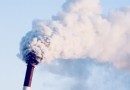 На территории Ульяновской области возведут биотопливные котельные