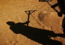 Узбекские фермеры будут ознакомлены с биогазовыми технологиями