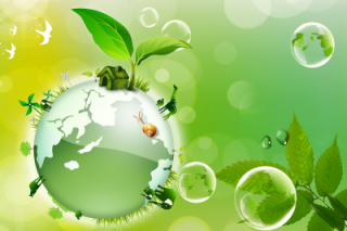 «Экологическая устойчивость» и «экологическое развитие» в основе устойчивого развития. Часть 1