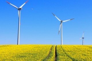 85% глобальных потребителей хотят больше возобновляемой энергии
