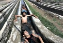 Мобильная система помогает фермерам экономить время, воду, электричество
