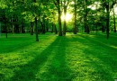 Альтернативы альтернативной энергетики. Экологические проекты. Часть 2