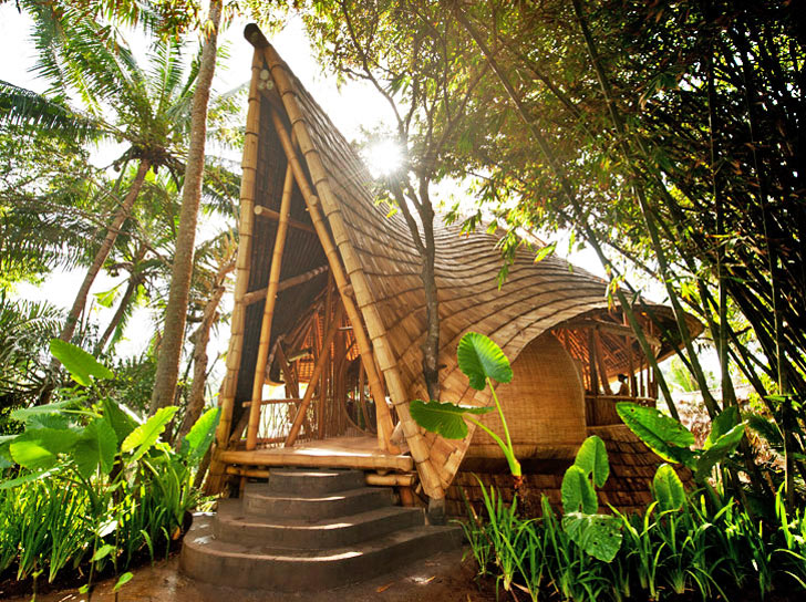Бамбуковый дом