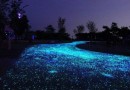 Натуральная мраморная крошка способствовала улучшению качества воды в Москва-реке