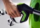 Новое биотопливо скоро заменит нефть