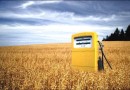 Экологическое топливо из крахмала и сахара