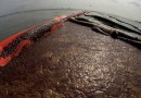 Катастрофа в Мексиканском заливе грозит обернуться рекордным штрафом для BP