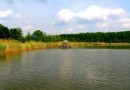 В заповеднике «Ягорлык» перезахоронение химикатов решили отложить до весны