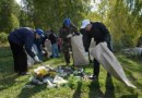 Движение по уборке мусора поддержит Росприроднадзор