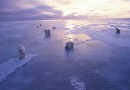 Несмотря на глобальное потепление, льды Антарктиды растут
