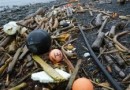 Большое количество мусора от цунами в Японии ждет Западное побережье США