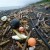 Большое количество мусора от цунами в Японии ждет Западное побережье США