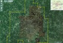 Гринпис обнаружила в лесах Подмосковья неучтенные строения