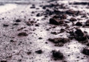 В городе Омск Росприроднадзор пытается найти виновников выпадения черного снега