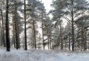 В Иркутской области семидесяти территориям будет присвоен статус особо охраняемых
