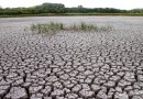 Новым методом выявлена для млекопитающих опасность климатических катаклизмов