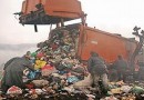 За нарушения законодательства охраны природы в Калужской области была оштрафована бумажная компания