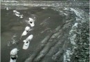На территории города Омска в Октябрьском округе в поселке Южном на днях выпали осадки в виде снега черного цвета