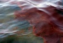Около года может занять процесс ликвидации последствий утечки ядовитых химикатов в реку Соединенных Штатов