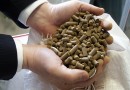 Термопластики из лигнина экологически чисты и дешевы