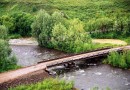 Каспийское море в скором времени станет чище