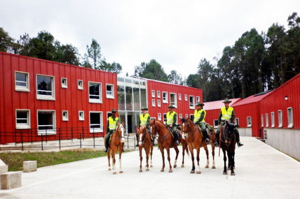Департамент конной полиции в Колумбии
