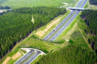 В России под Переславлем появится первый мост для животных