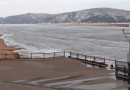 В Амуре российские и китайские экологи отмечают улучшение качества воды