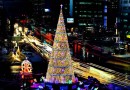 Какая ель «зеленее» и экологичнее?