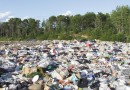 В Калужских муниципалитетах за год ликвидировали более одиннадцати тысяч стихийных свалок