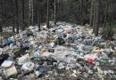 Ликвидация свалок в РФ