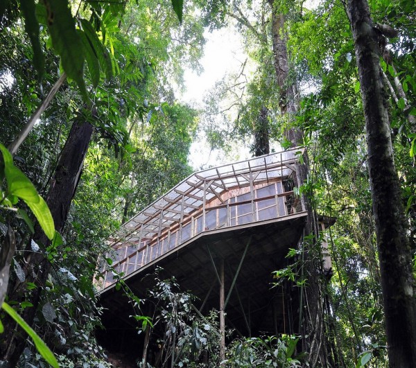 Уникальная деревня в тропическом лесу