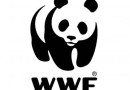 В 2012 году российскому WWF компании пожертвовали 1 200 000 Евро
