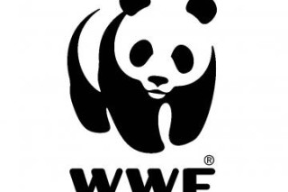 В 2012 году российскому WWF компании пожертвовали 1 200 000 Евро