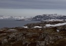 Из-за потепления Баренцева моря начала мигрировать треска в воды России