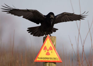 В России создадут национальный радиационно-эпидемиологический регистр