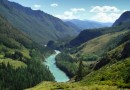 В России начался экологический год