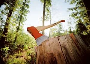 Властями Архангельской области запрещено вырубать деревья возле родников