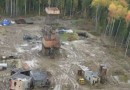 В Калужской области выявлено больше 2 тысяч нарушений законодательства о природе за год