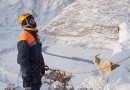 В Горном Алтае сняли со скал коз и овец, которые спасались от волков