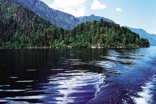 В год охраны окружающей среды в горном Алтае пройдут выставки и акции