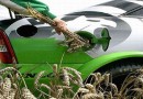 Ученый из Британии заявил, что биотопливо опасно для жизни