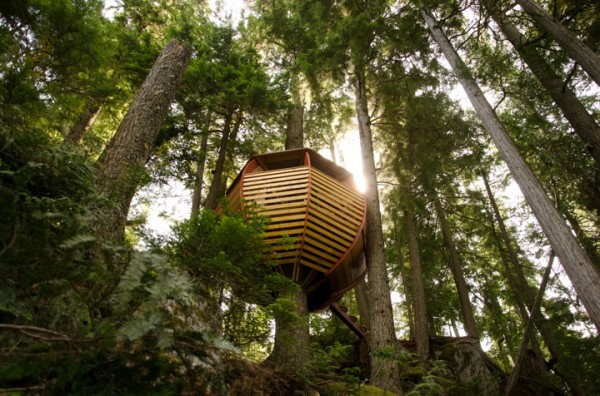 Дом на дереве в канадских лесах