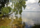 Озеро Виштынец, которое находится на литовской границе, будет трансграничной природной зоной