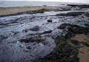 На Багамских островах в порту произошла утечка нефти