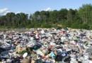 На окраине Первомайска свалку твердых бытовых отходов признали экологически опасным объектом