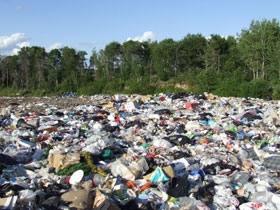 На окраине Первомайска свалку твердых бытовых отходов признали экологически опасным объектом