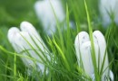 Ртутные лампы – экономия на всю жизнь